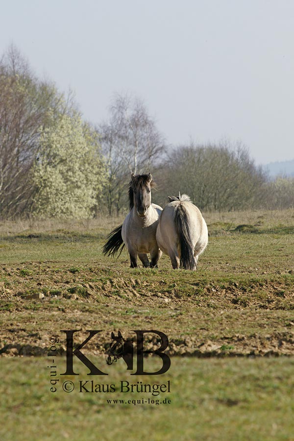 %_tempFileName2014-03-14-Schmidtenhoehe_0040BC%