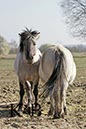 %_tempFileName2014-03-14-Schmidtenhoehe_0090BC%