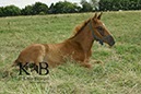 %_tempFileName2013-06-29-In-0504BC%