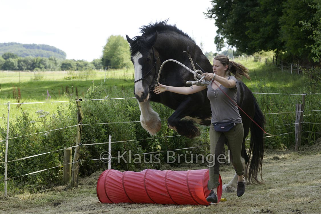Agility_20120804_0264-Kor+Fr